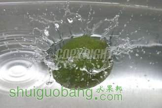 t0179e2d2cfaf45607d.jpg
