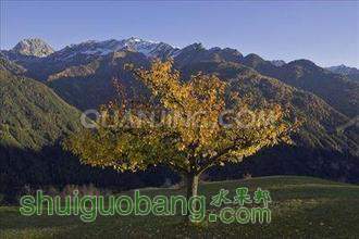 t0187ded0a93baf8d5f.jpg