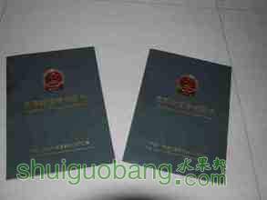 t0192fa56f167d27cae.jpg