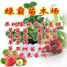 t0195e0b598a52b30c4.jpg
