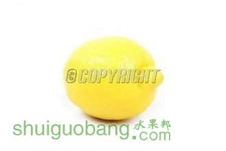 t01252d496a0ce4dd94.jpg