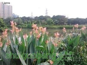 t01623e637c939ba8f9.jpg
