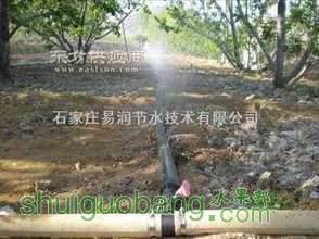 t01833c54a27cc75c59.jpg
