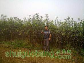 t01926bc572ab59cdad.jpg