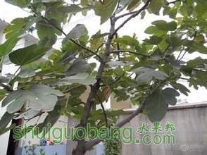 t0193246a426dee786b.jpg