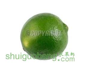 t018491465297429ce2.jpg