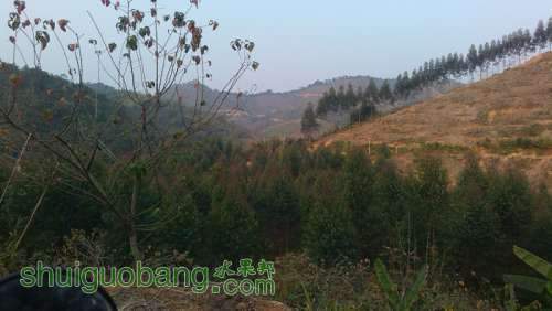 IMG_20140104_164335.jpg