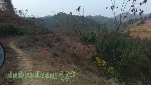 IMG_20140104_164154.jpg