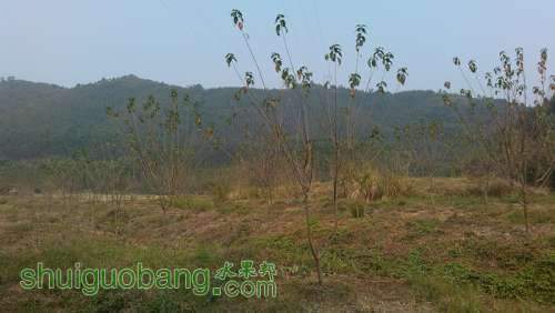 IMG_20140104_102424.jpg