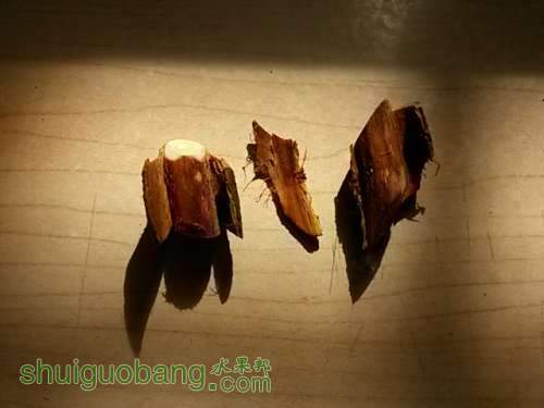 20140101_124028.jpg