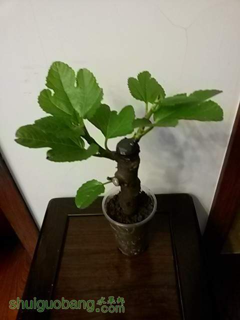 20140105_215722.jpg