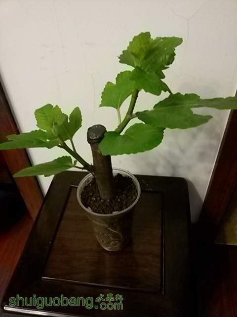 20140105_215457.jpg