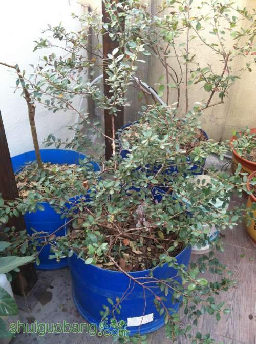 2014-01-05 074127.jpg