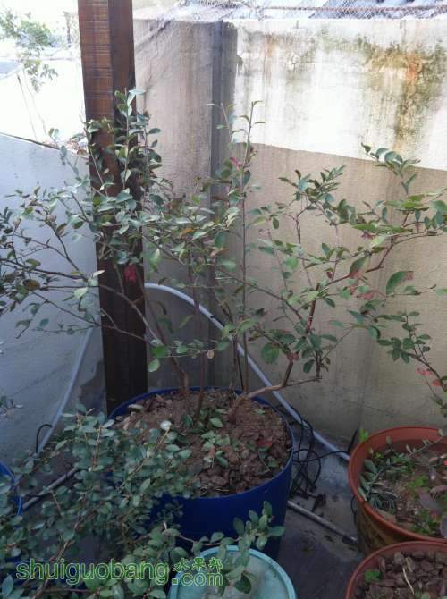 2014-01-05 074140.jpg