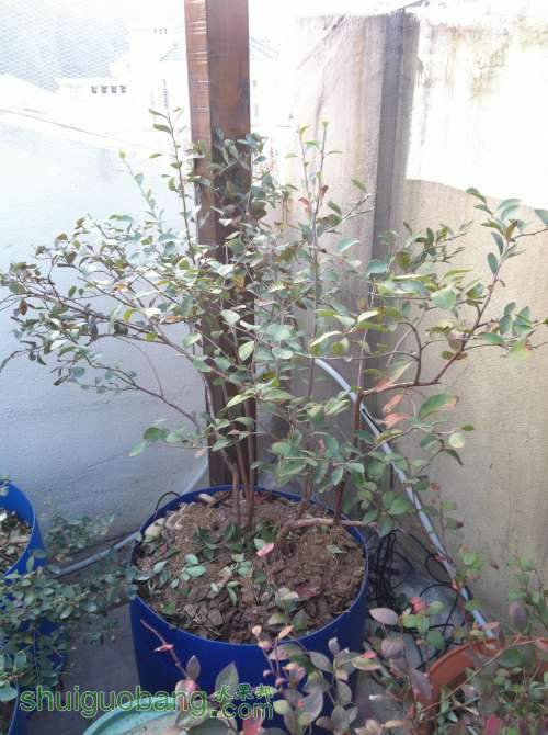 2014-01-05 074320.jpg