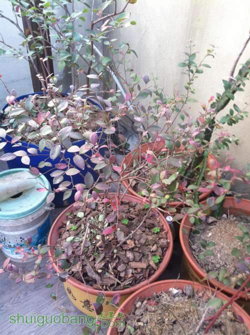 2014-01-05 074325.jpg