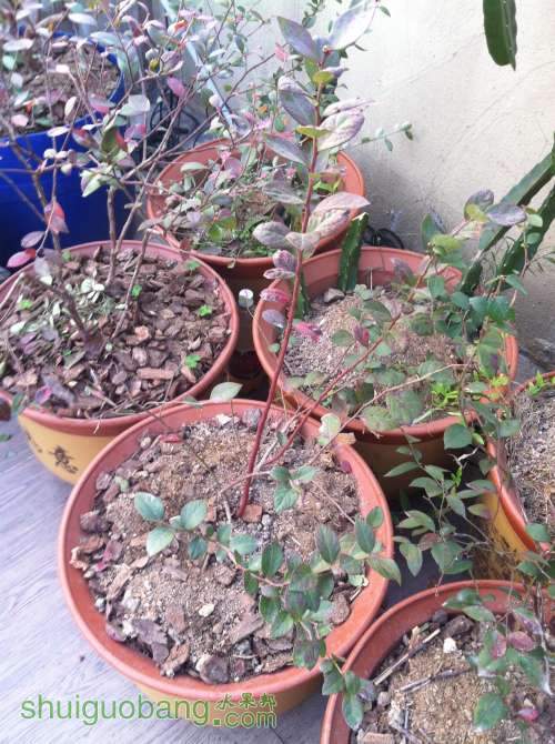 2014-01-05 074331.jpg