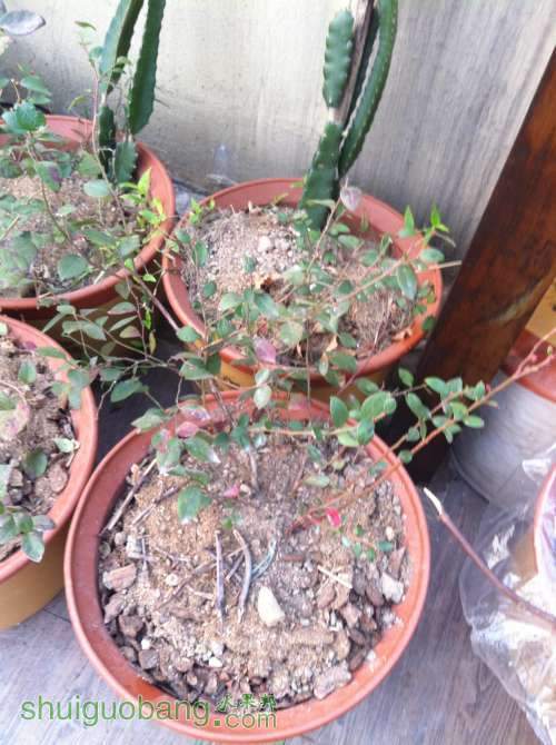 2014-01-05 074334.jpg