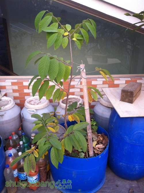 2014-01-05 074438.jpg
