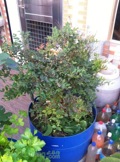 2014-01-05 074443.jpg