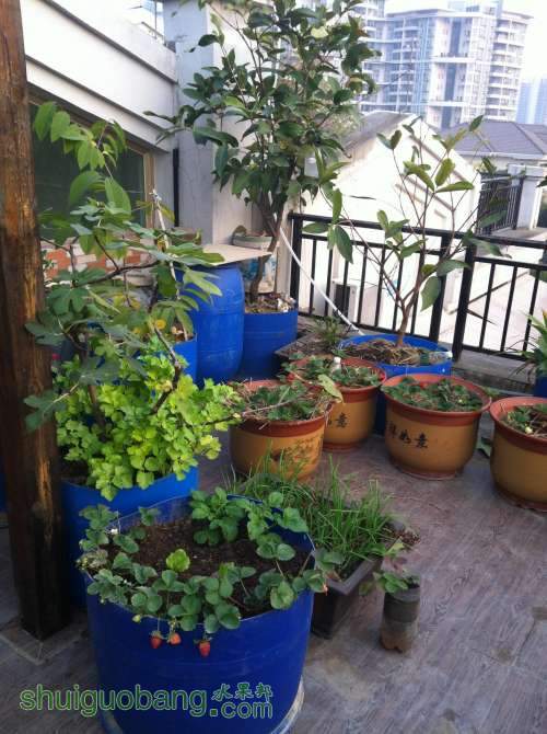 2014-01-05 074656.jpg