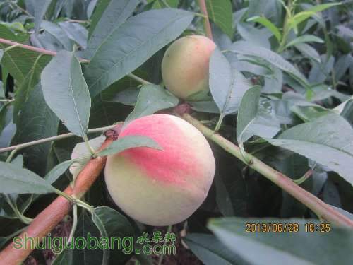 ��Ƭ 061.jpg
