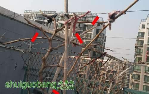 2019579mzqoqwmlxzldsd9_conew1.jpg