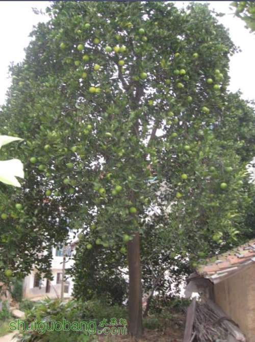 200915202301.jpg