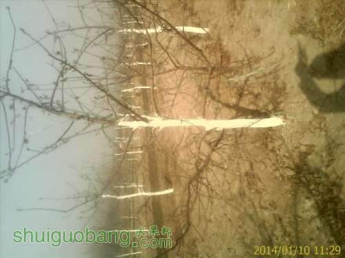 IMAG0285.jpg