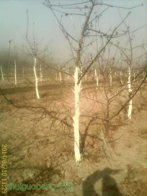 IMAG0285.jpg