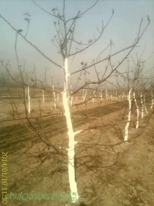 IMAG0286.jpg