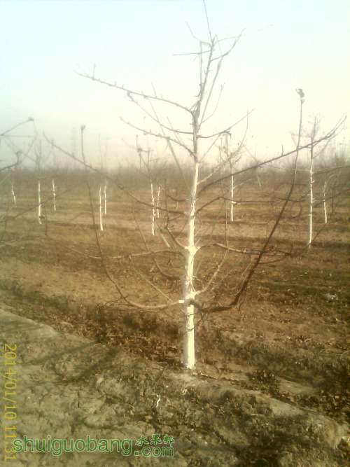 IMAG0288.jpg