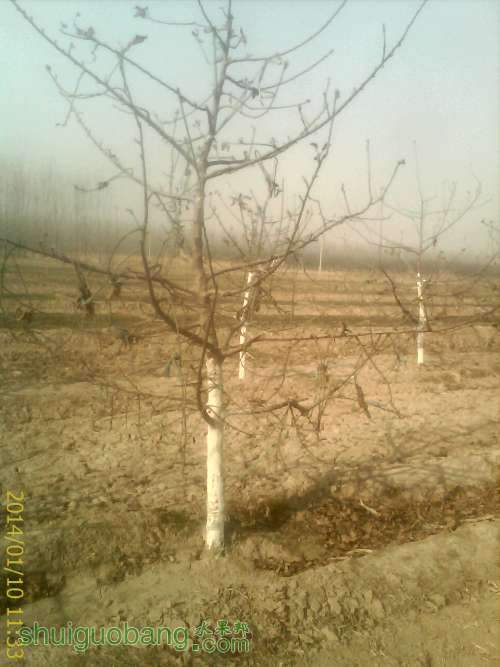 IMAG0293.jpg