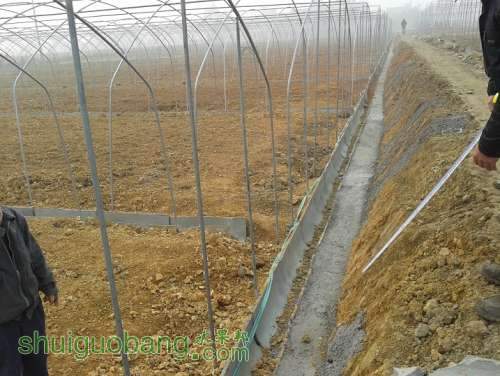 20140106_094333.jpg