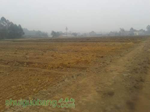 20140110_111035.jpg