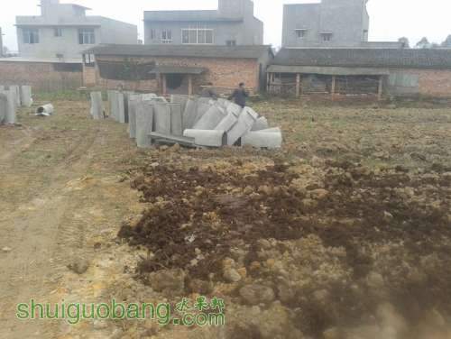 20140110_110243.jpg