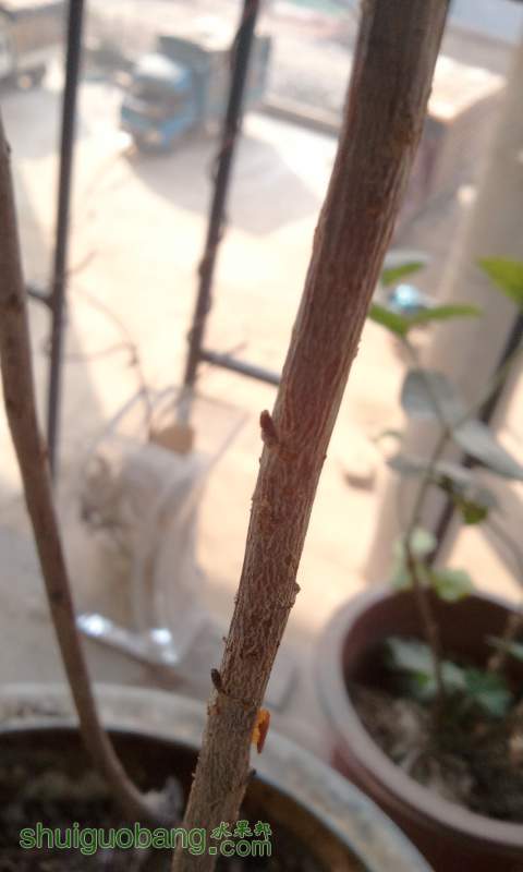 2014-01-05 09.46.00.jpg