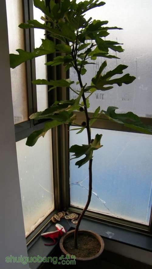 nEO_IMG_100_2300.jpg