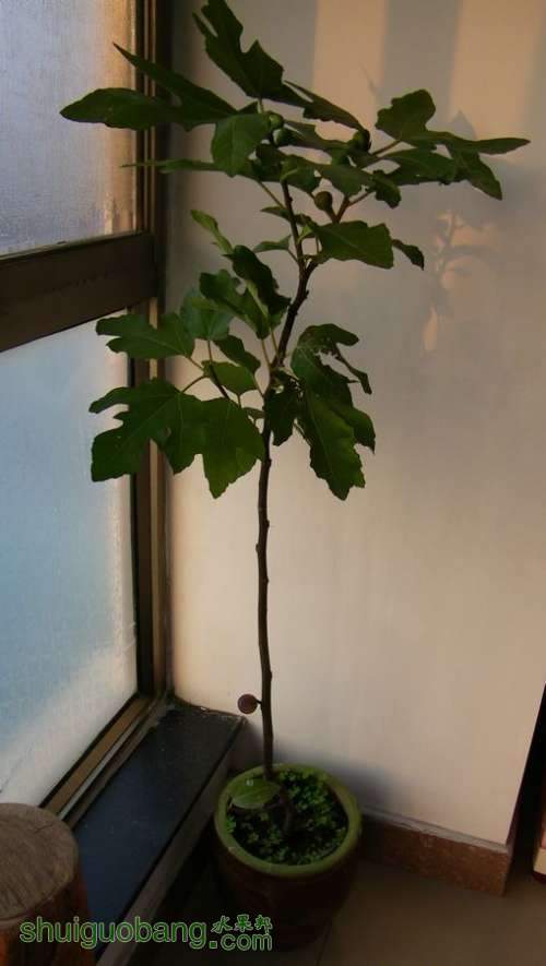 nEO_IMG_100_2301.jpg