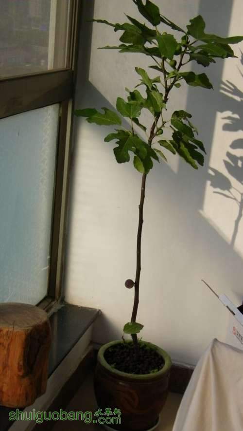 nEO_IMG_100_2307.jpg