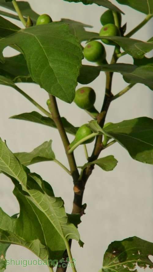 nEO_IMG_100_2308.jpg