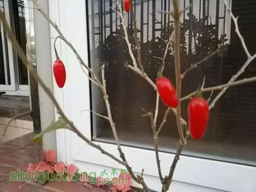 20131210_072817.jpg