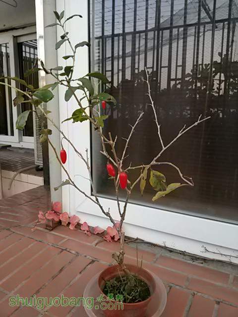 20131210_072636.jpg
