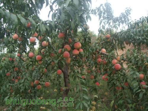 2012��9��20����Ե������ 015.jpg