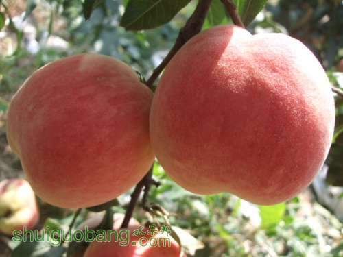 2013��9��15���Ѵ�����Ե���� 003.jpg