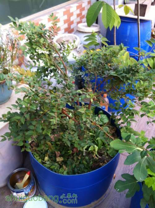 2014-01-12 074549.jpg