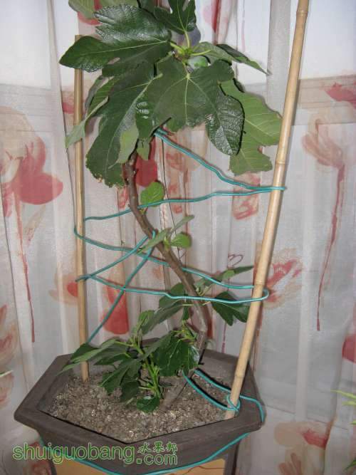 20130520 001.jpg