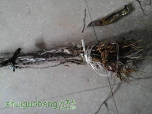 20140119_091026.jpg