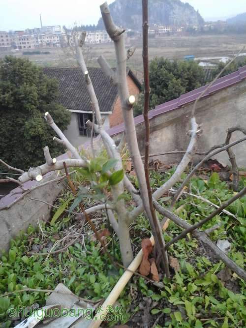 20140117_174152.jpg