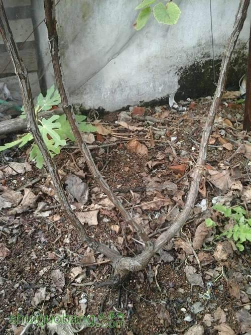 20131113_104712_����.jpg